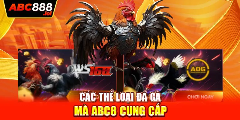 Các thể loại đá gà mà ABC8 cung cấp