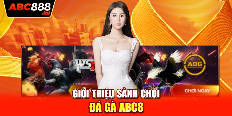 Giới thiệu sảnh chơi đá gà ABC8