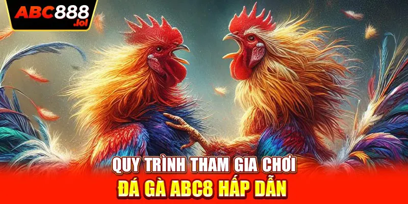 Quy trình tham gia chơi đá gà ABC8 hấp dẫn 