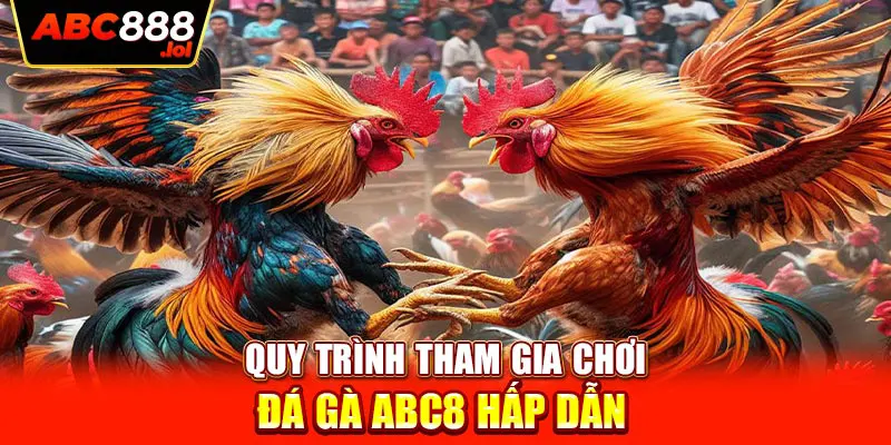 Quy trình tham gia chơi đá gà ABC8 hấp dẫn 